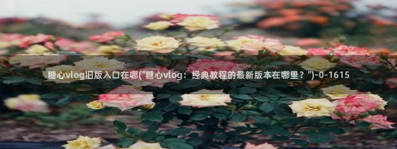 糖心vlogo：糖心vlog旧版入口在哪(\