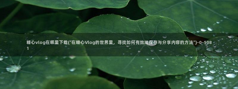 糖心vlo9：糖心vlog在哪里下载(\