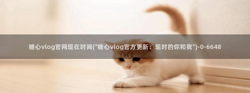 糖心小