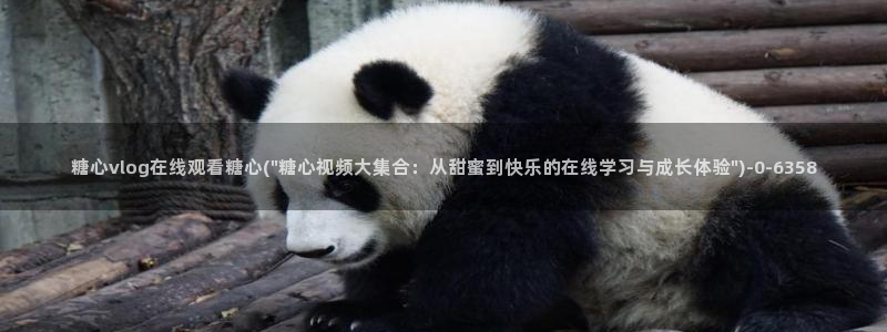 糖心是谁：糖心vlog在线观看糖心(\