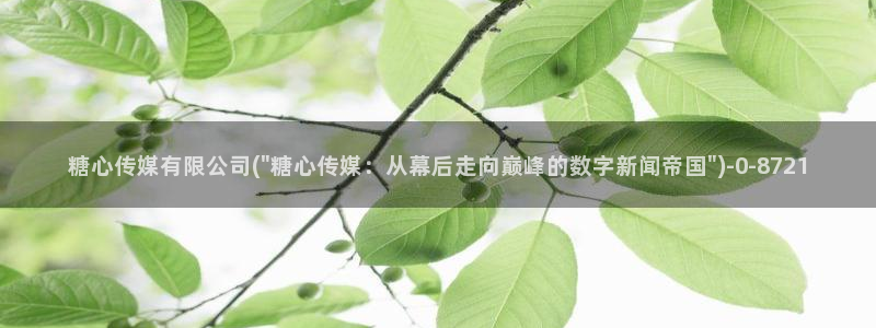 糖心vole：糖心传媒有限公司(\